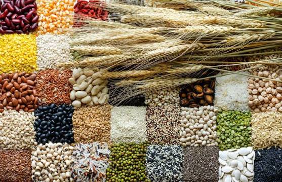 Assorted grains and pulses